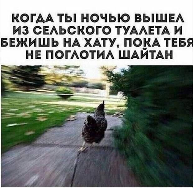 Смешные картинки дня