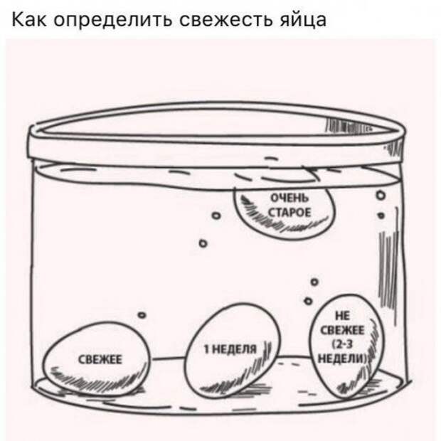 А вы знали?