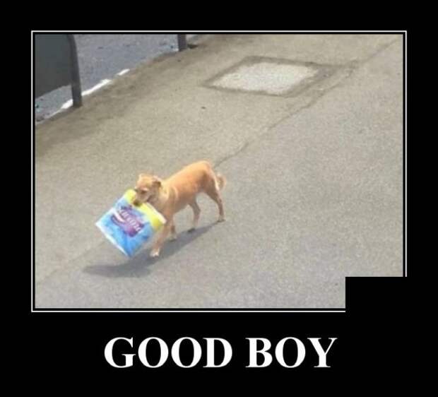 demotivatory-demotivator-smeshnye-demotivatory-demotivator-so-smyslom