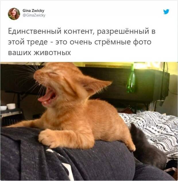 www.vsyako.net