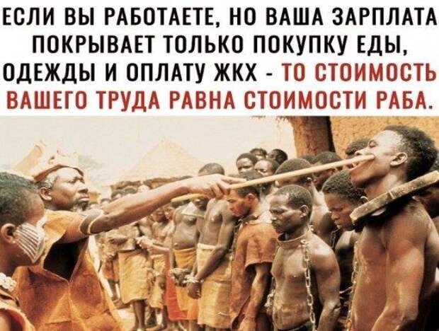 Прикольные картинки в ассортименте!!!