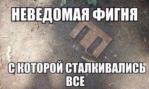 Подборка смешных и веселых фото с надписью (10 фото)