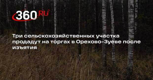 Три сельскохозяйственных участка продадут на торгах в Орехово-Зуеве после изъятия