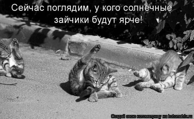Мысли вслух :)