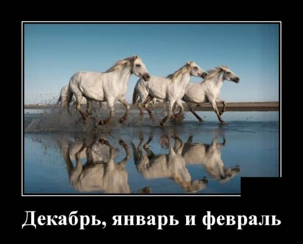 Демотиваторы (20 фото)