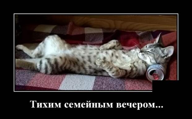 Демотиваторы (30 фото)
