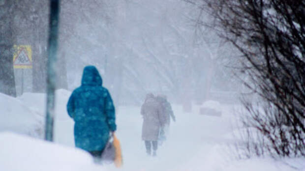 Снег с дождем и потепление до +4 градусов настигнут Алтайский край 12-13 января