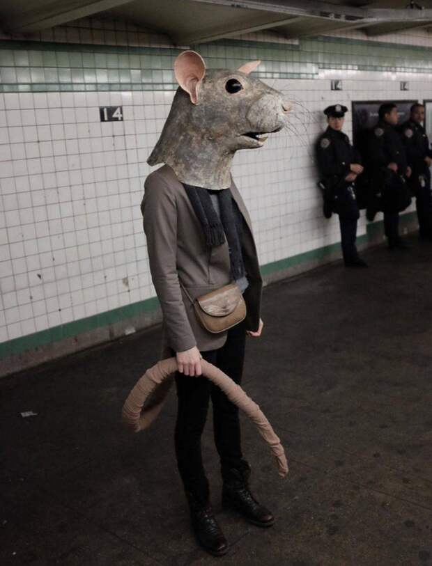 kartinok-veselyh-interesnyh-kartinki-smeshnye-kartinki-fotoprikoly kartinok-veselyh-interesnyh-kartinki-smeshnye-kartinki-fotoprikoly