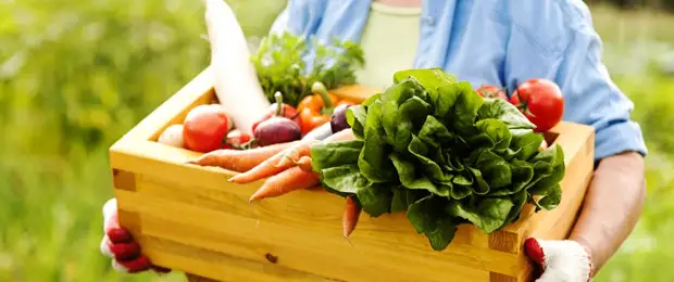 home-grown-vegetables-desktop