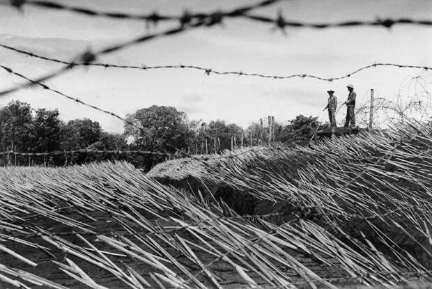 Граница между Вьетнамом и Камбоджей, укрепленная отравленными бамбуковыми кольями, 1972 год