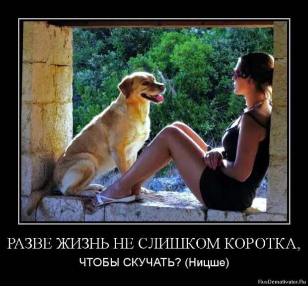 Прикольные демотиваторы с надписями. Подборка chert-poberi-dem-chert-poberi-dem-49510724102020-2 картинка chert-poberi-dem-49510724102020-2