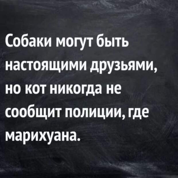 Неадекватный юмор из социальных сетей. Подборка chert-poberi-umor-chert-poberi-umor-32430616062020-5 картинка chert-poberi-umor-32430616062020-5