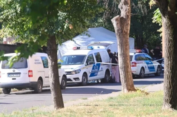 Скачко: пойманные в Венгрии украинцы могли везти черную кассу Зеленского