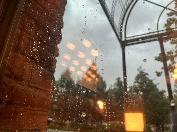 Новая рабочая неделя начнет в Петербурге с коротких дождей и +13 градусов