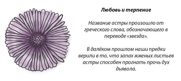 У каждого месяца есть цветок-покровитель. Какой он у вас?