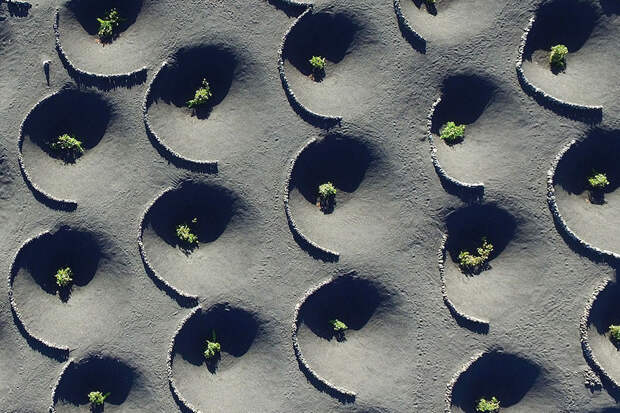 best-drone-photography-2016-dronestagram-contest-22-5783b784d8a5f__880