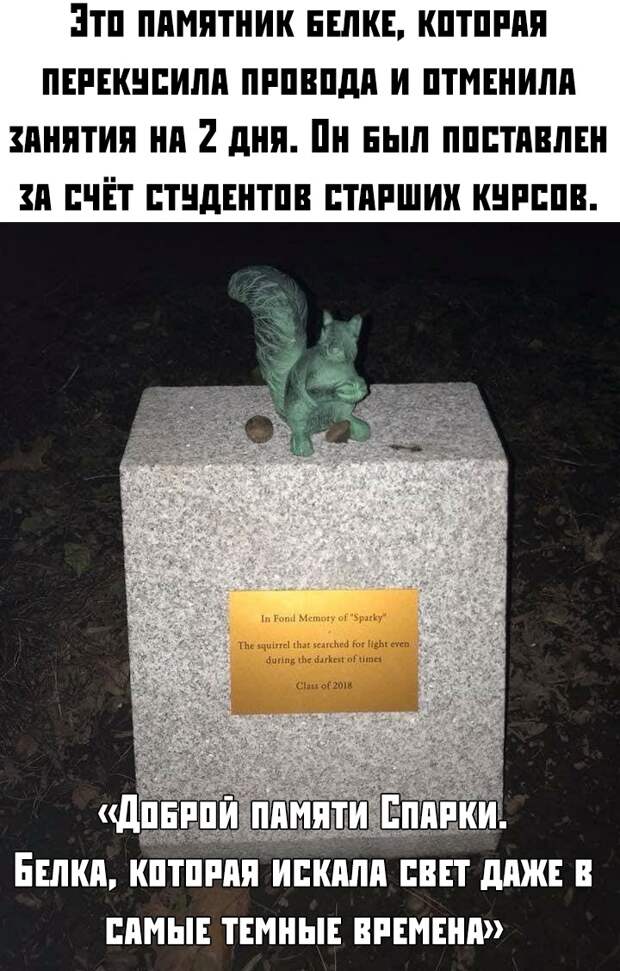 Подборка картинок. Дневной выпуск (30 фото)