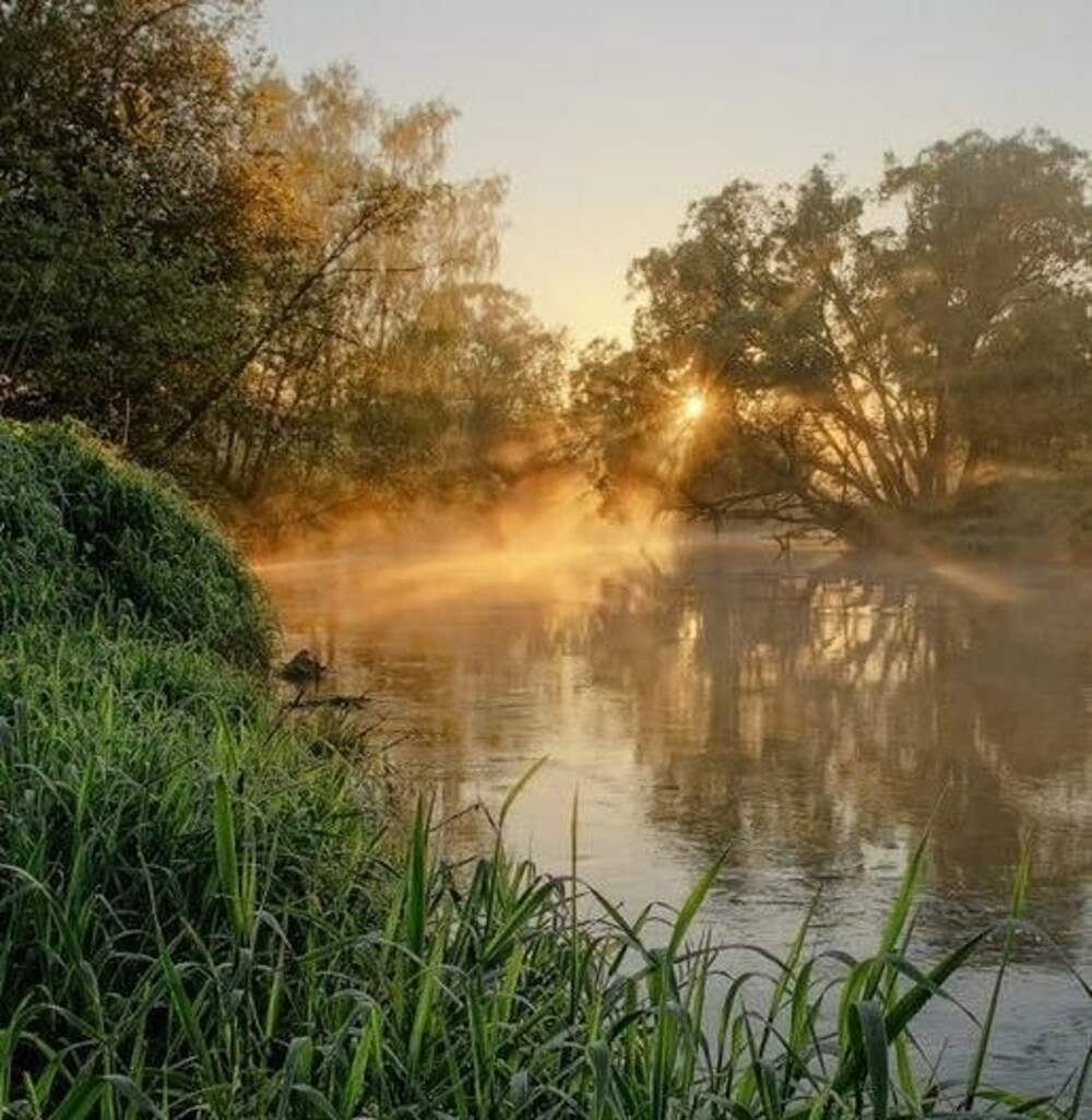 Речка ш. Утренняя река. Летнее утро на реке. Раннее летнее утро. Утро раннее лето река.