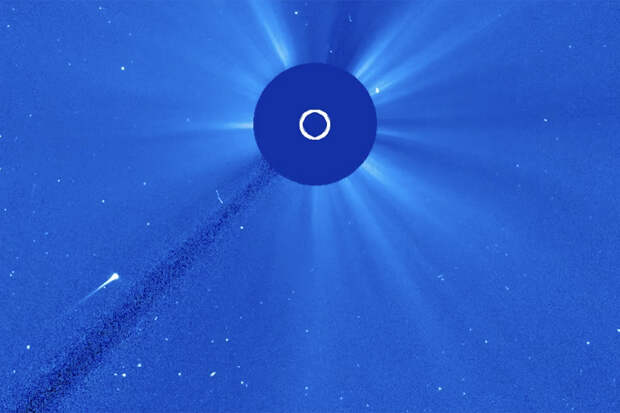 Ученые заявили о поглощении самой яркой кометы года