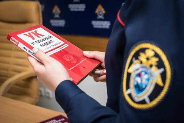 Следком РФ направил в Госдуму пакет предложений по ужесточению миграционного законодательства