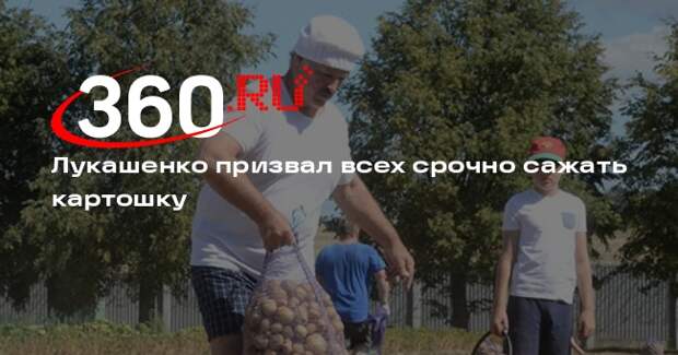 Лукашенко посоветовал белорусам сажать картошку из-за высокого спроса