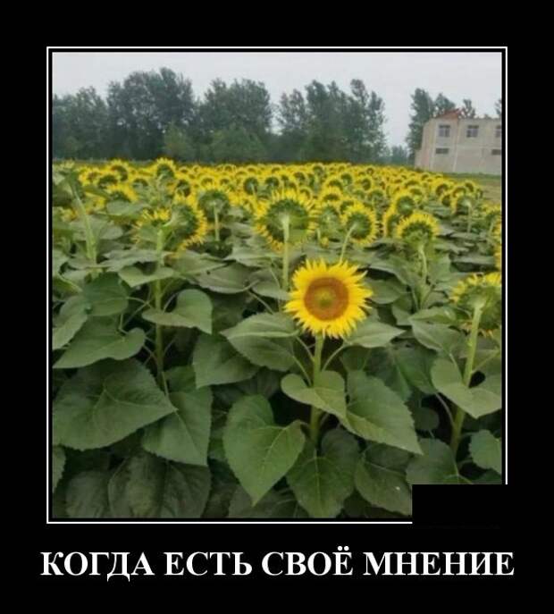 Демотиваторы (30 фото)