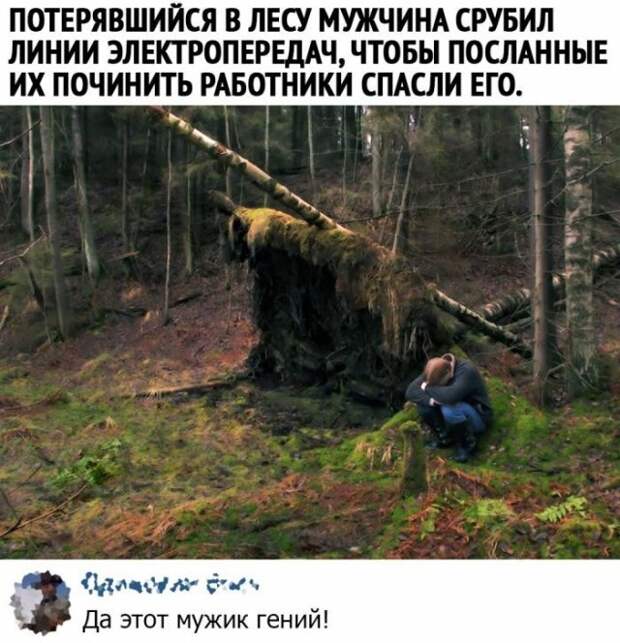 Смешные комментарии к постам в социальных сетях