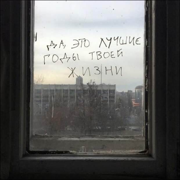 Веселые картинки из жизни для позитива (10 фото)