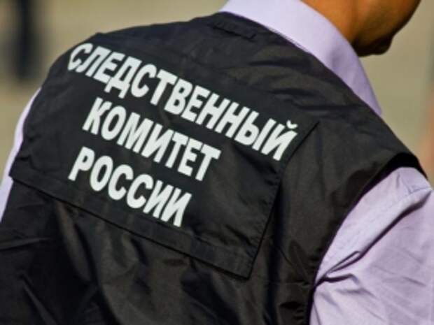 Глава ведомства поручил доложить о ходе расследования уголовного дела по факту нарушения прав жителей Ростовской области