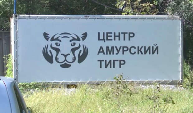 Центр экспертиз диких животных откроется в Хабаровском крае