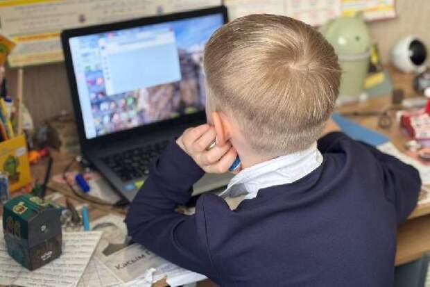 Тамбовских девятиклассников ждет устный экзамен по истории