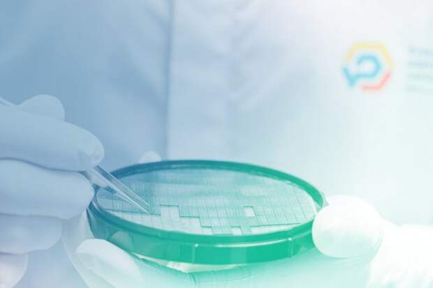 Бауманка бесплатно изготовит партию фотонных чипов для российских учёных