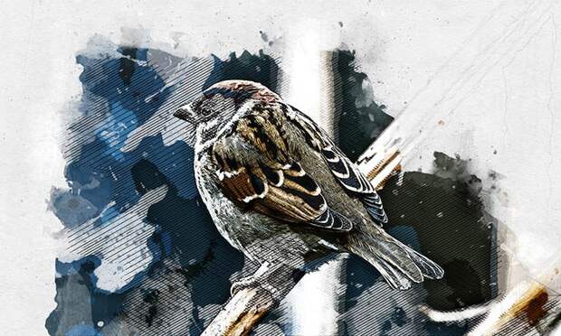 В Орловской области у воробьёв и людей одна проблема на двоих