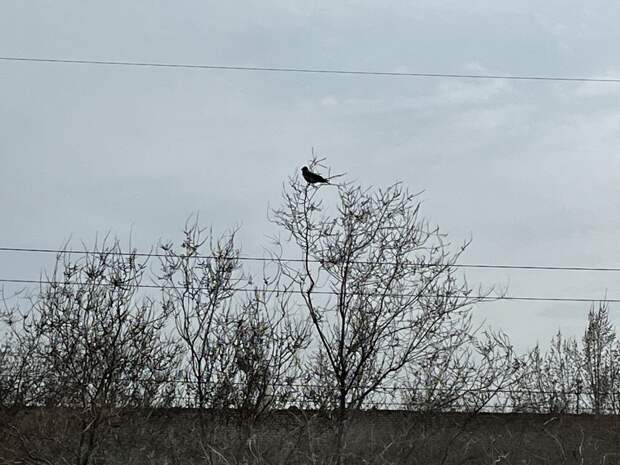 Завтра в Астраханской области обещают апрельскую грозу