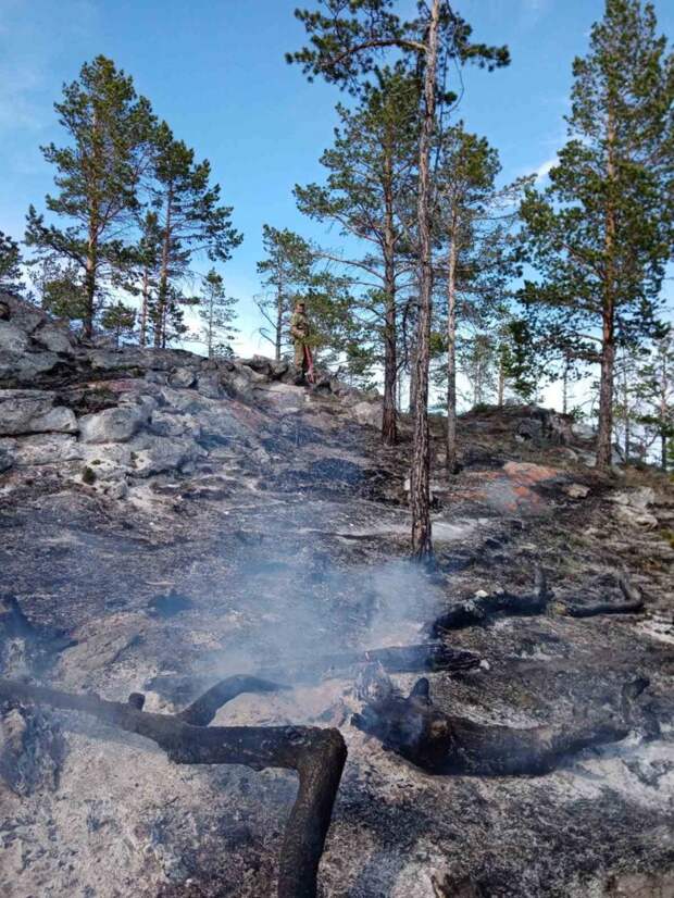 Участок леса сгорел в Ольхонском районе на территории нацпарка