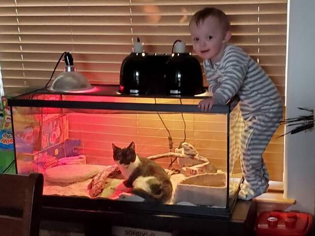 kartinok-veselyh-interesnyh-kartinki-smeshnye-kartinki-fotoprikoly kartinok-veselyh-interesnyh-kartinki-smeshnye-kartinki-fotoprikoly