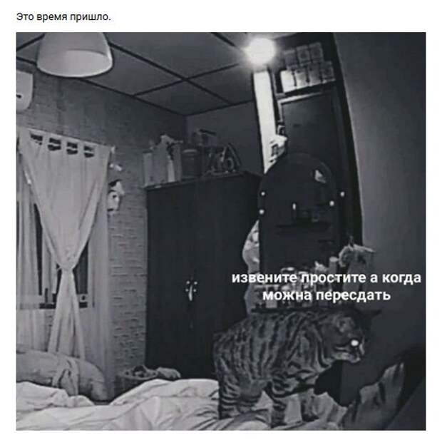 Нестандартный юмор :)