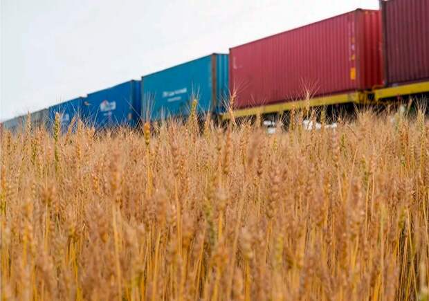 Нужды РЖД вписали в госбюджет. Уголь рассыпался на фракции. Зерно продвинули в очереди. Пульс ж/д за неделю в зеркале прессы