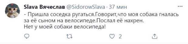 Смешные и познавательные картинки