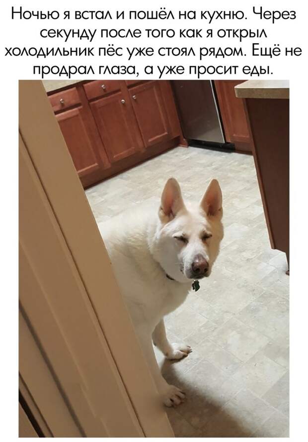 Прожорливый мальчик Прожорливый мальчик