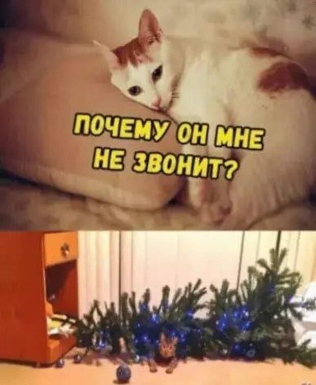 @psychology_funny #юмор #смешное #приколы