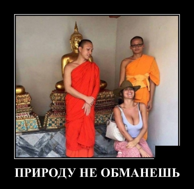 Демотиваторы (30 фото)