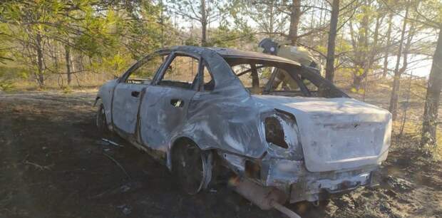В Алтайском крае два человека сгорели в иномарке