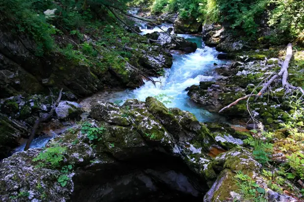 Ущелье Винтгар, Словения