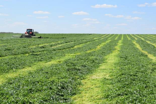 Оксана Величко поделилась подробностями поддержки АПК Тюменской области