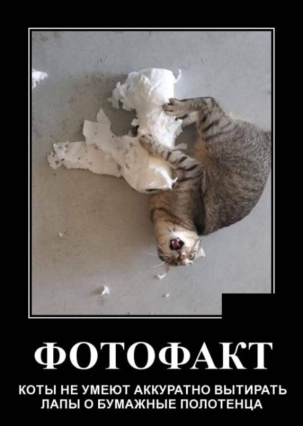 Демотиваторы (30 фото)