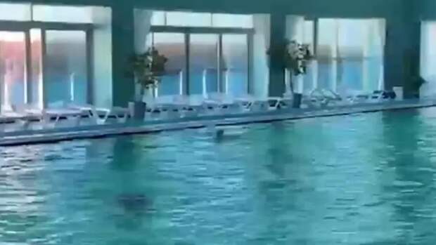 Астраханку засосал неисправный насос в бассейне