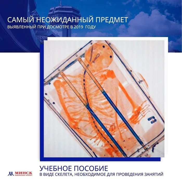 Работники таможни делятся 11 самыми странными находками