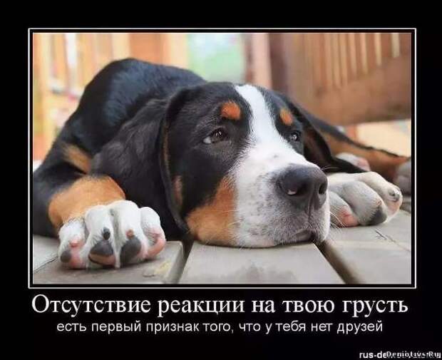 Прикольные демотиваторы с надписями. Подборка chert-poberi-dem-chert-poberi-dem-14580603092020-12 картинка chert-poberi-dem-14580603092020-12