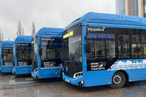 Администрация Тамбова планирует купить 15 новых автобусов